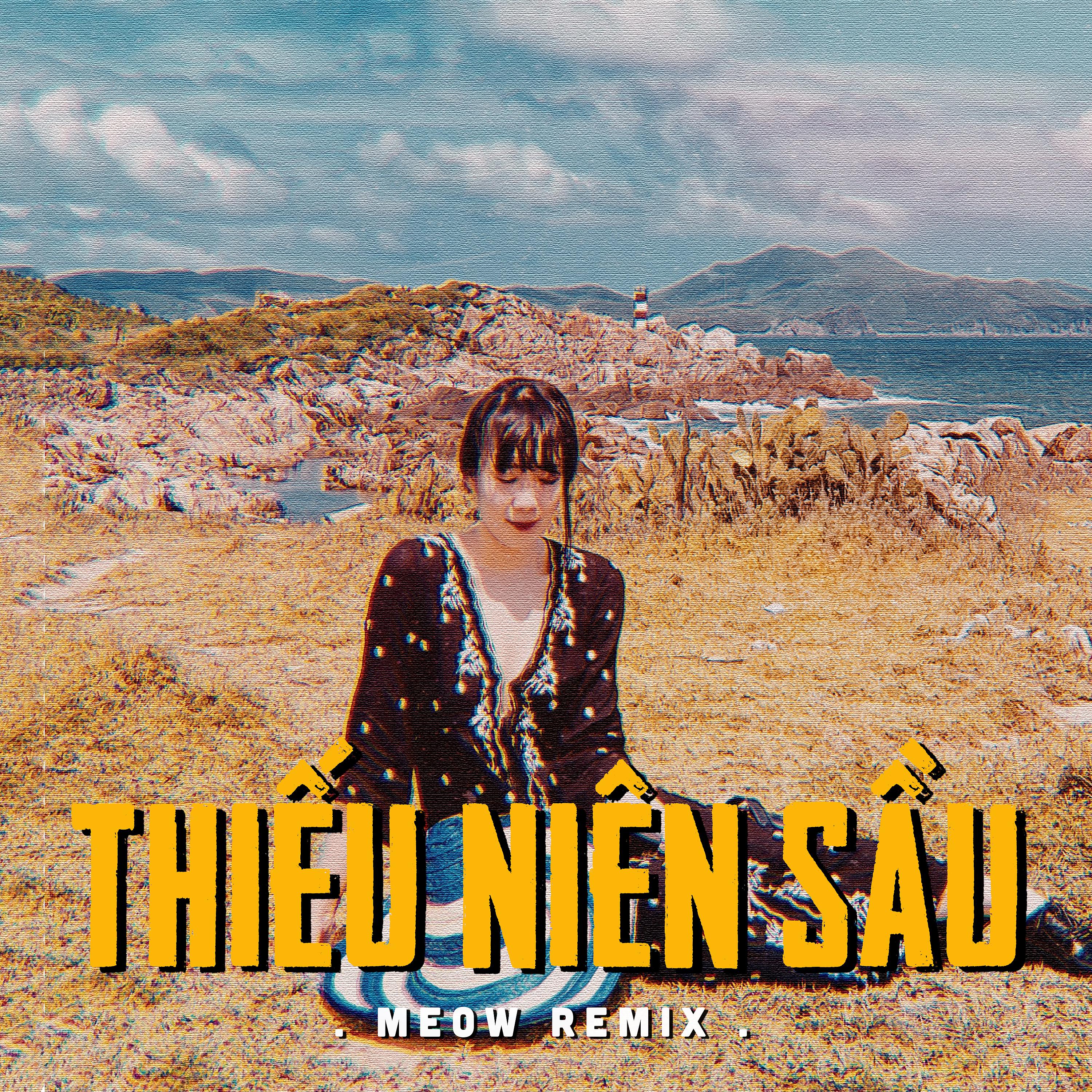 Постер альбома Thiếu Niên Sầu (MEOW Remix)