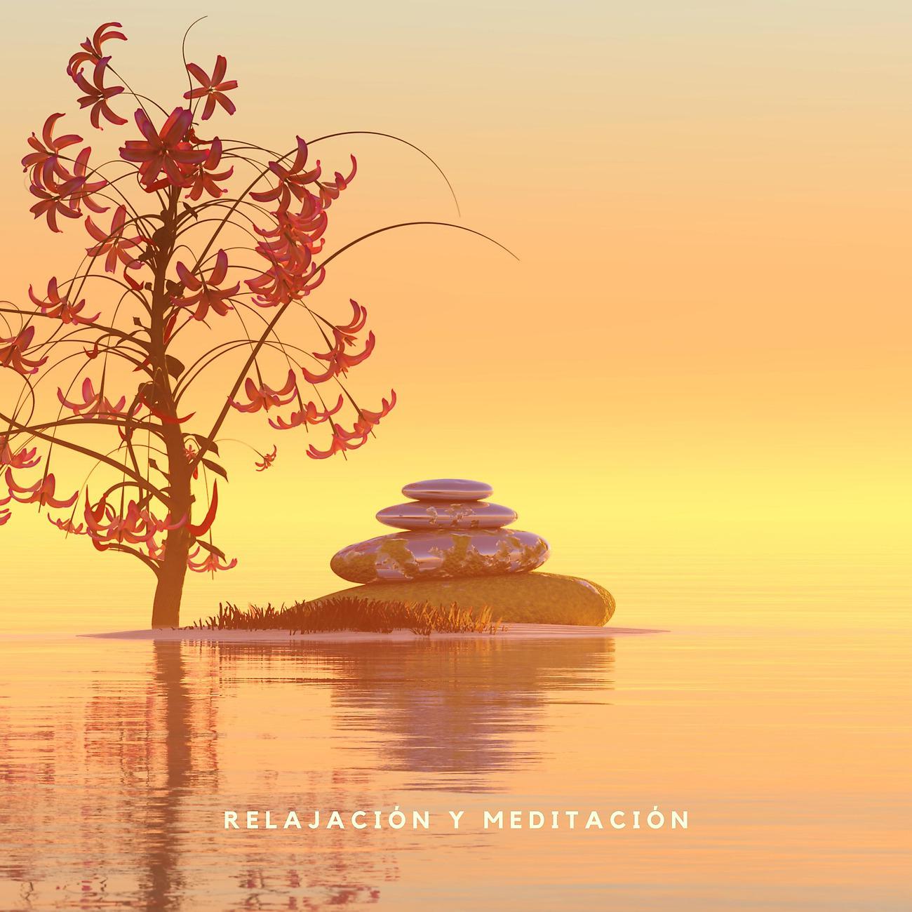 Постер альбома Relajación y Meditación