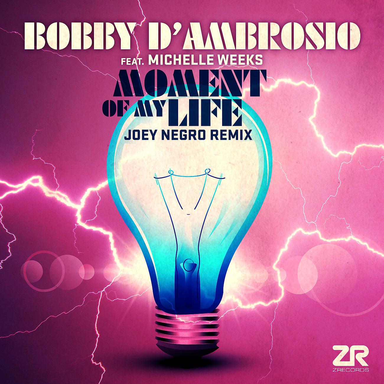 Постер альбома Moment of My Life (Joey Negro Remixes)
