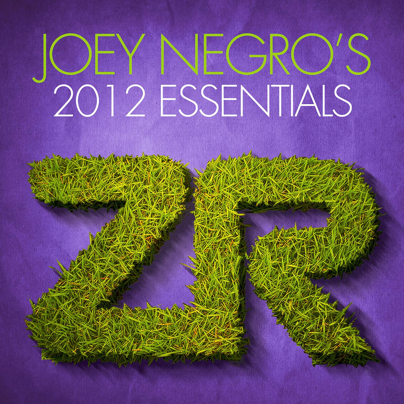 Постер альбома Joey Negro's 2012 Essentials