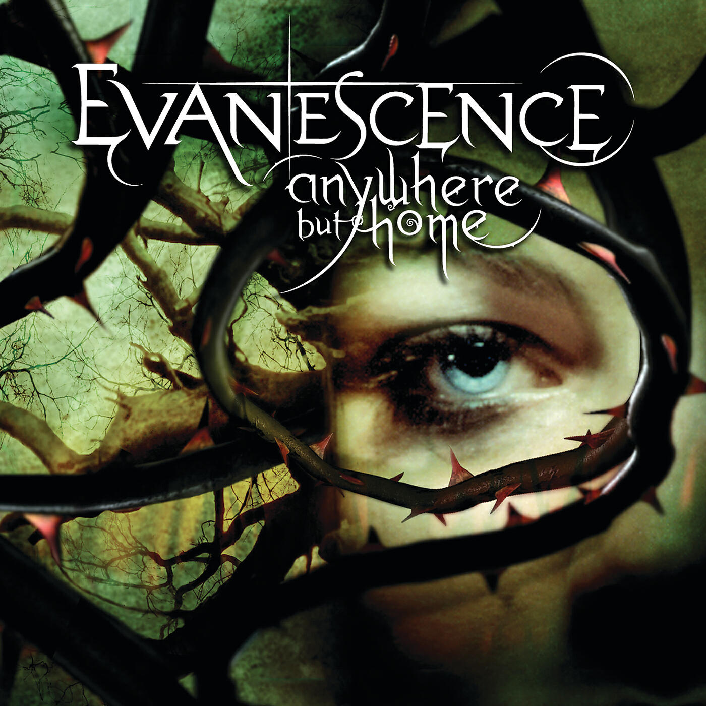Evanescence - Taking Over Me (Live From Le Zénith,France/2004)