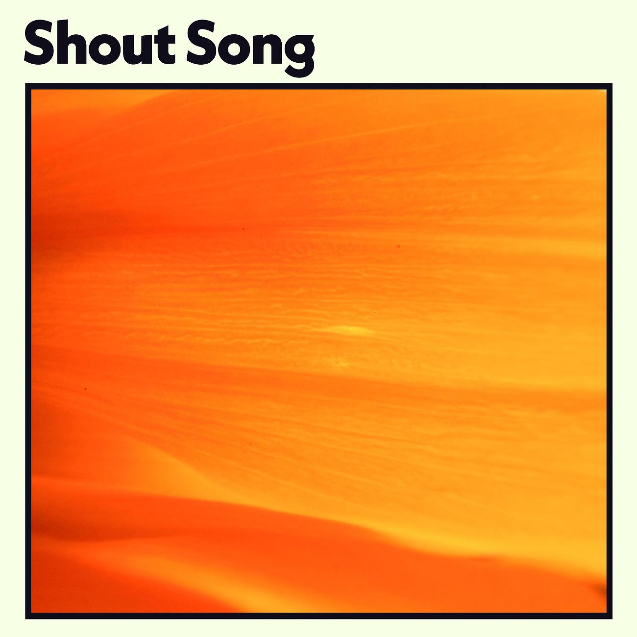 Постер альбома Shout Song