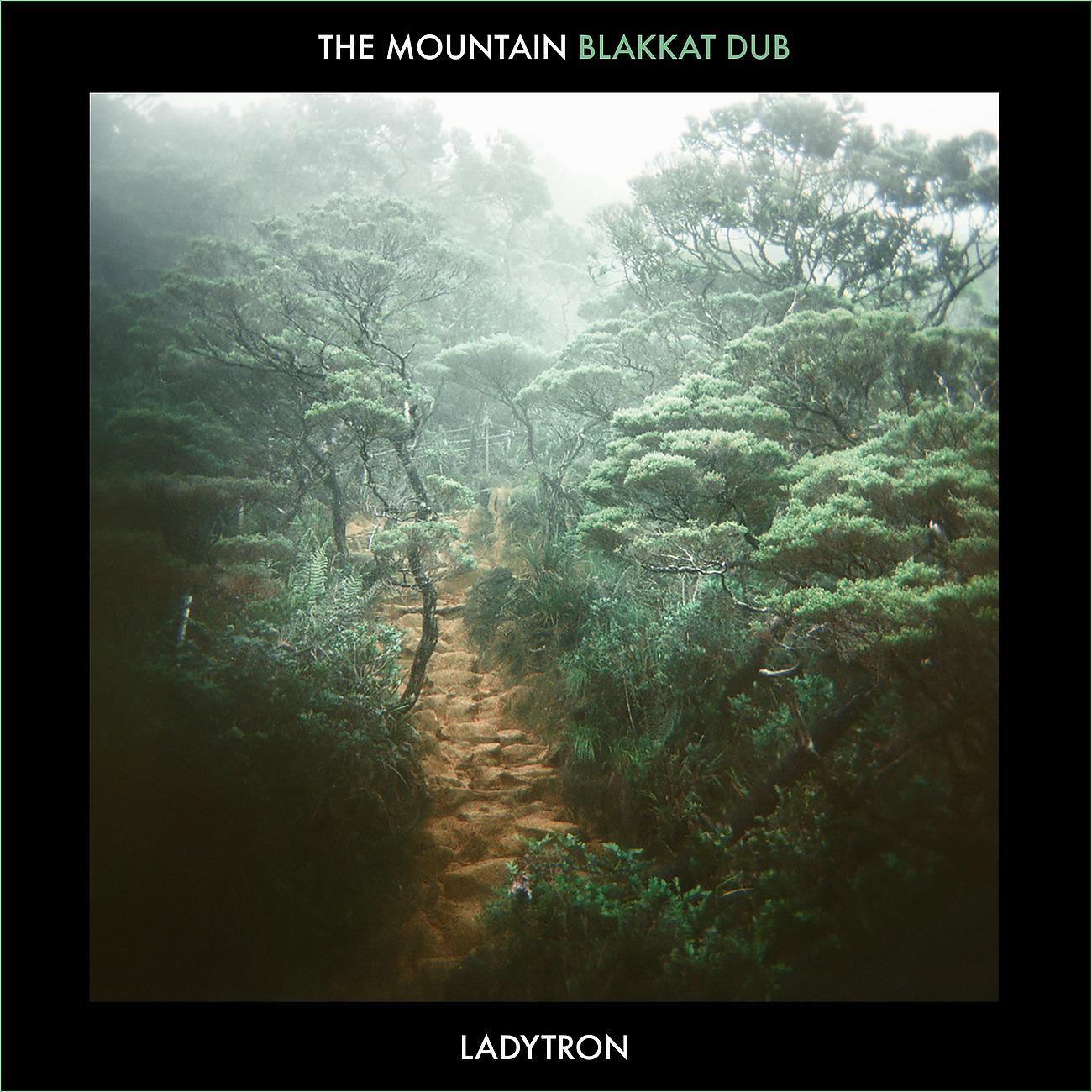 Постер альбома The Mountain (Blakkat Dub)