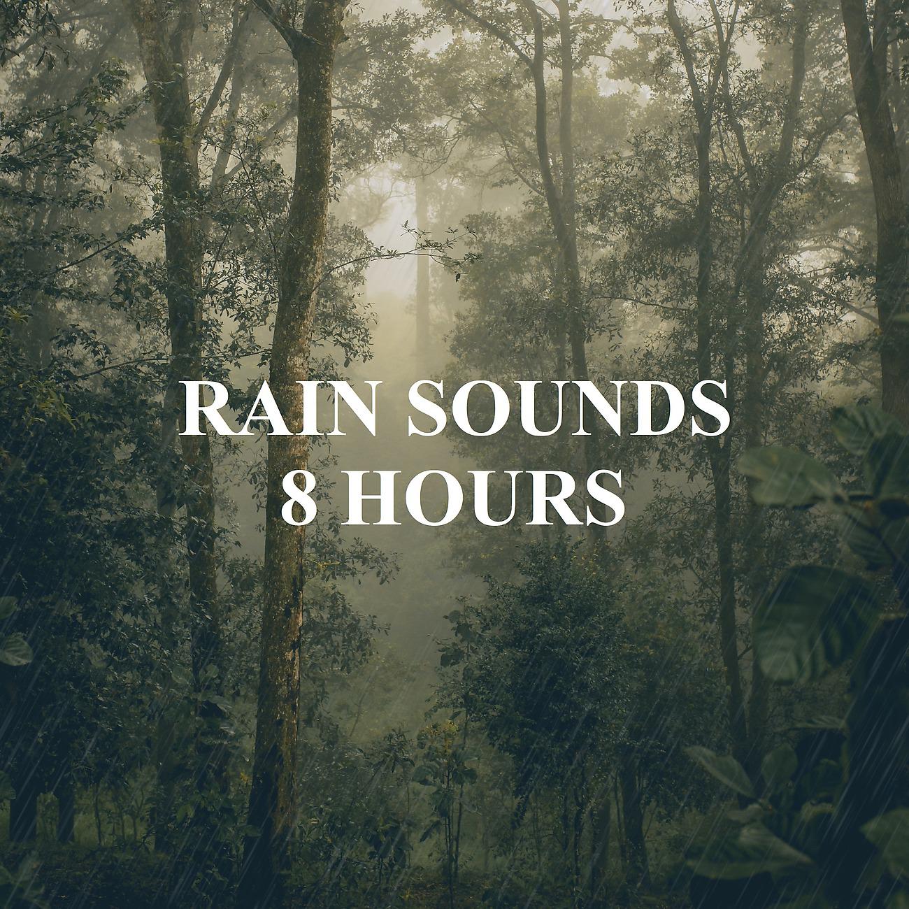 Постер альбома Rain Sounds 8 Hours