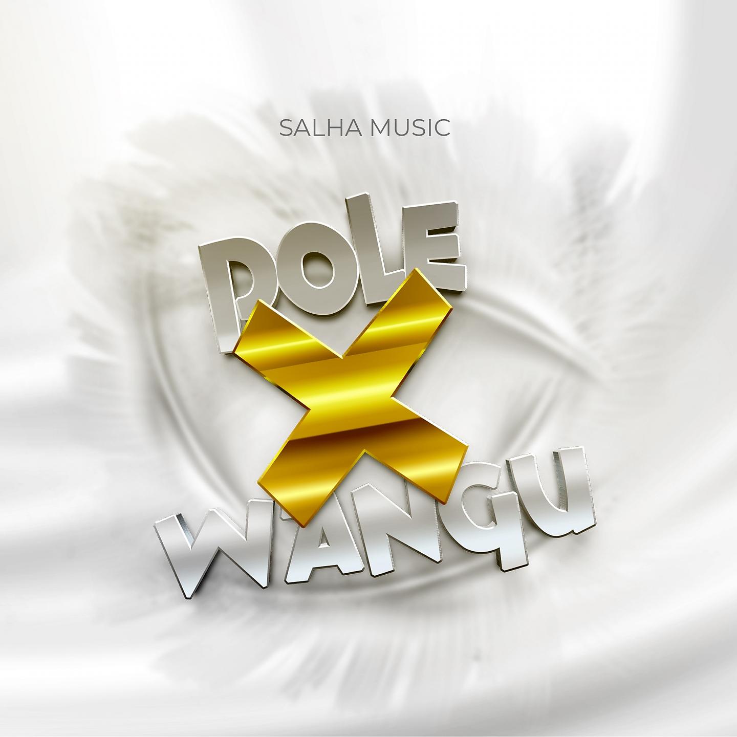 Постер альбома Pole X Wangu