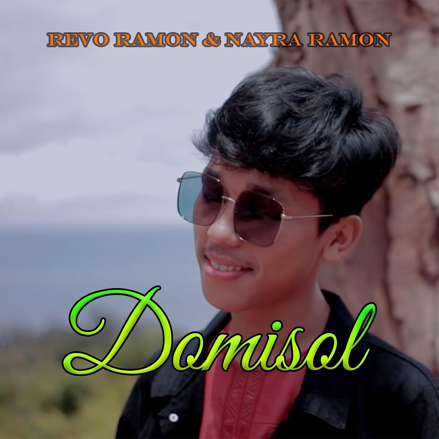 Постер альбома Domisol
