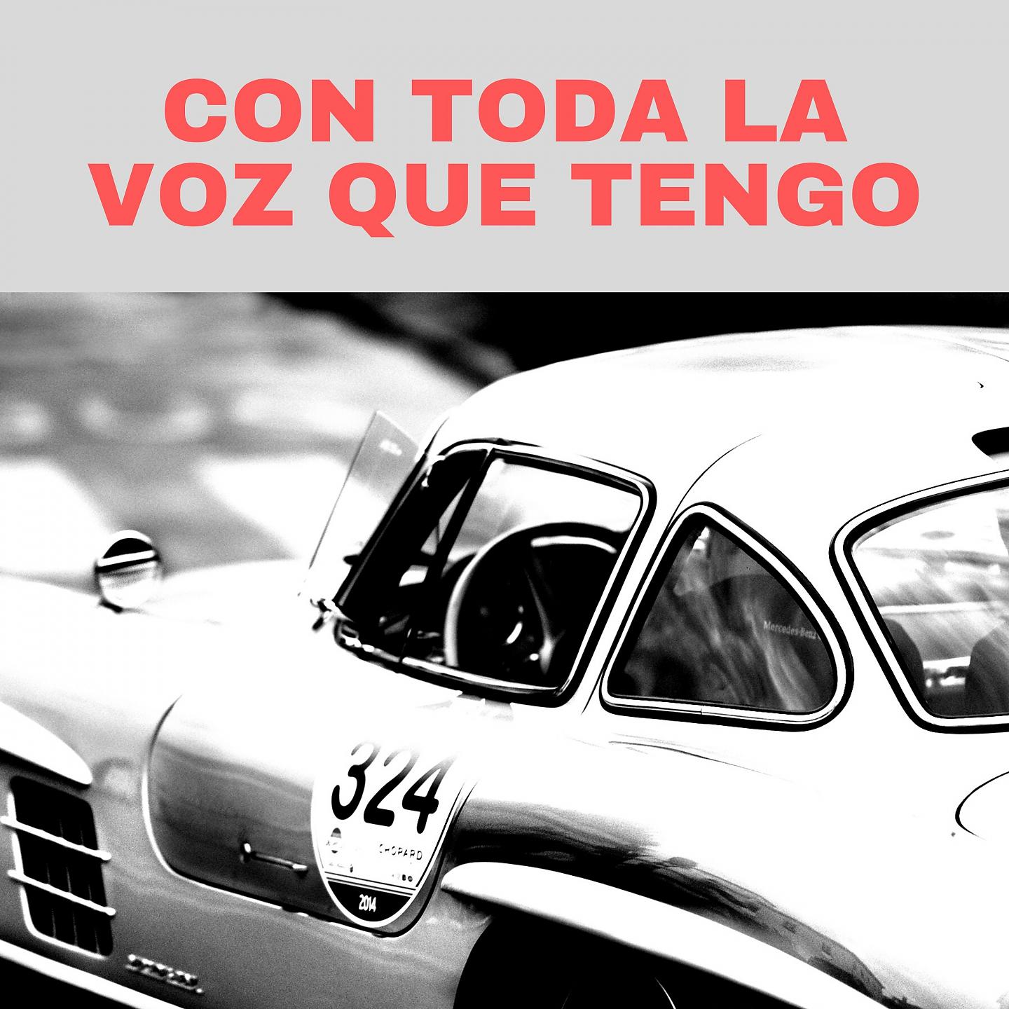 Постер альбома Con Toda la Voz Que Tengo