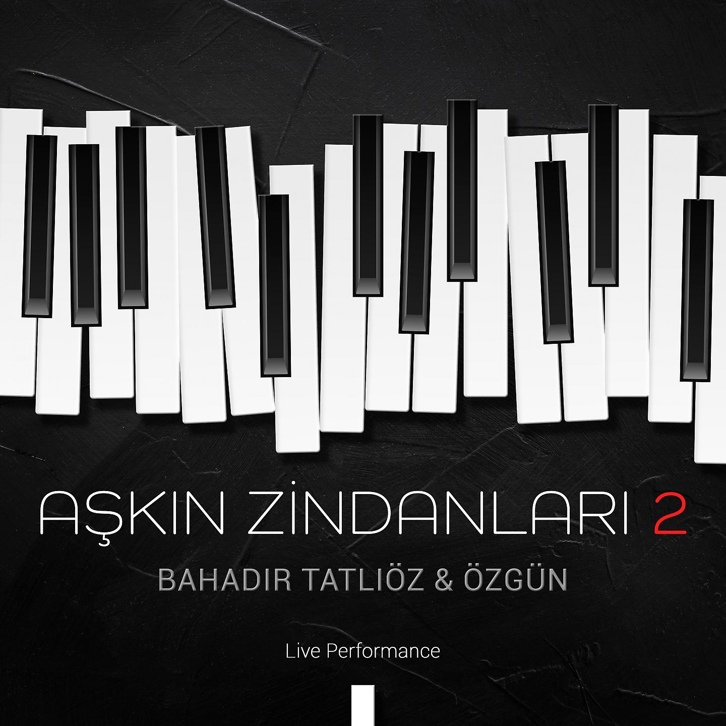 Постер альбома Aşkın Zindanları