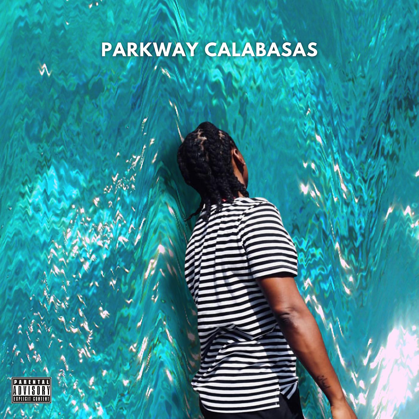 Постер альбома Parkway Calabasas
