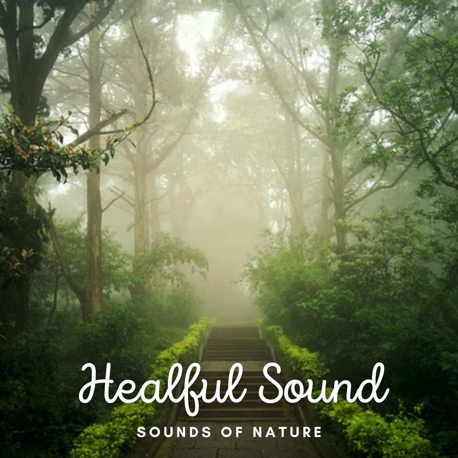 Постер альбома Sounds of Nature: Healful Sound