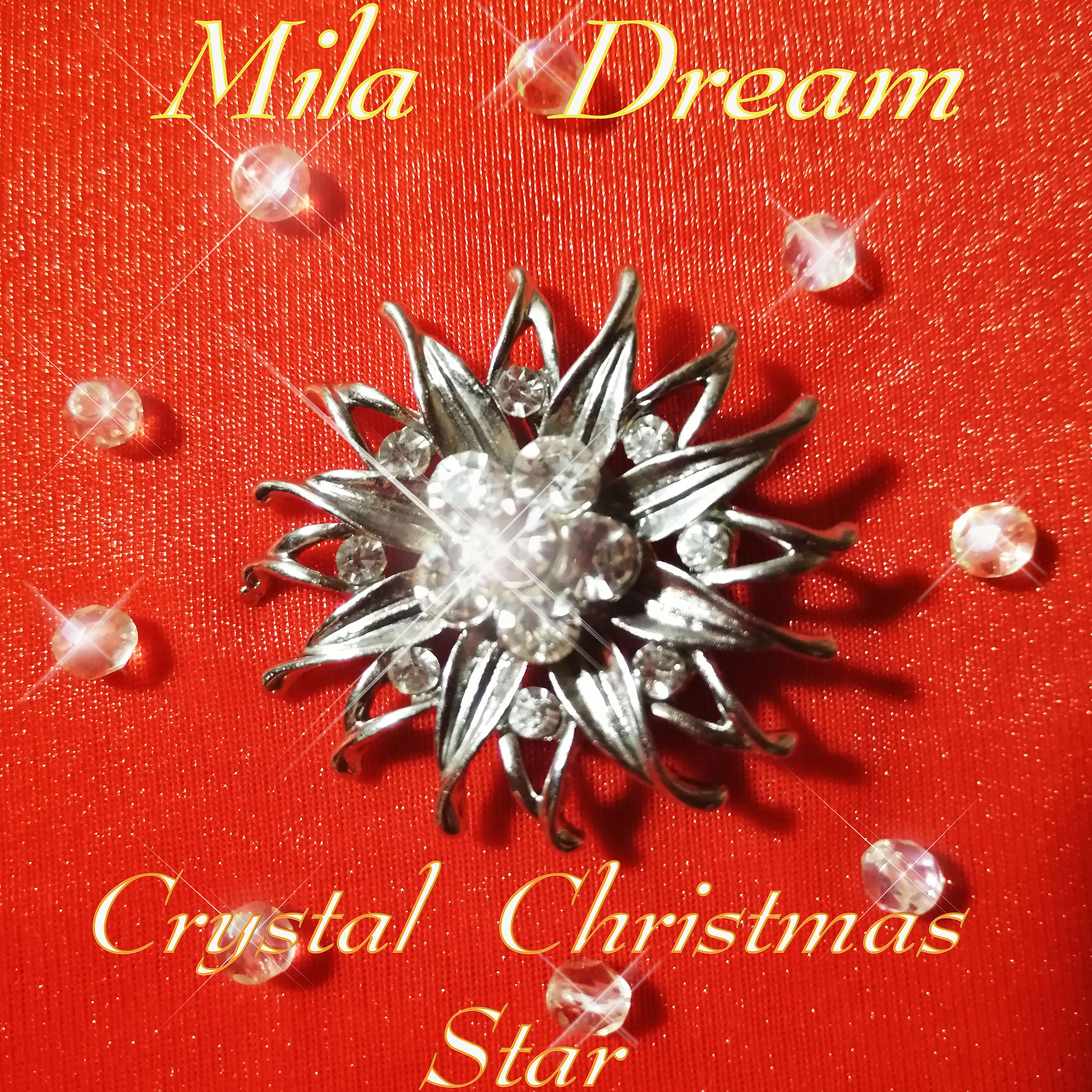 Постер альбома Crystal Christmas Star
