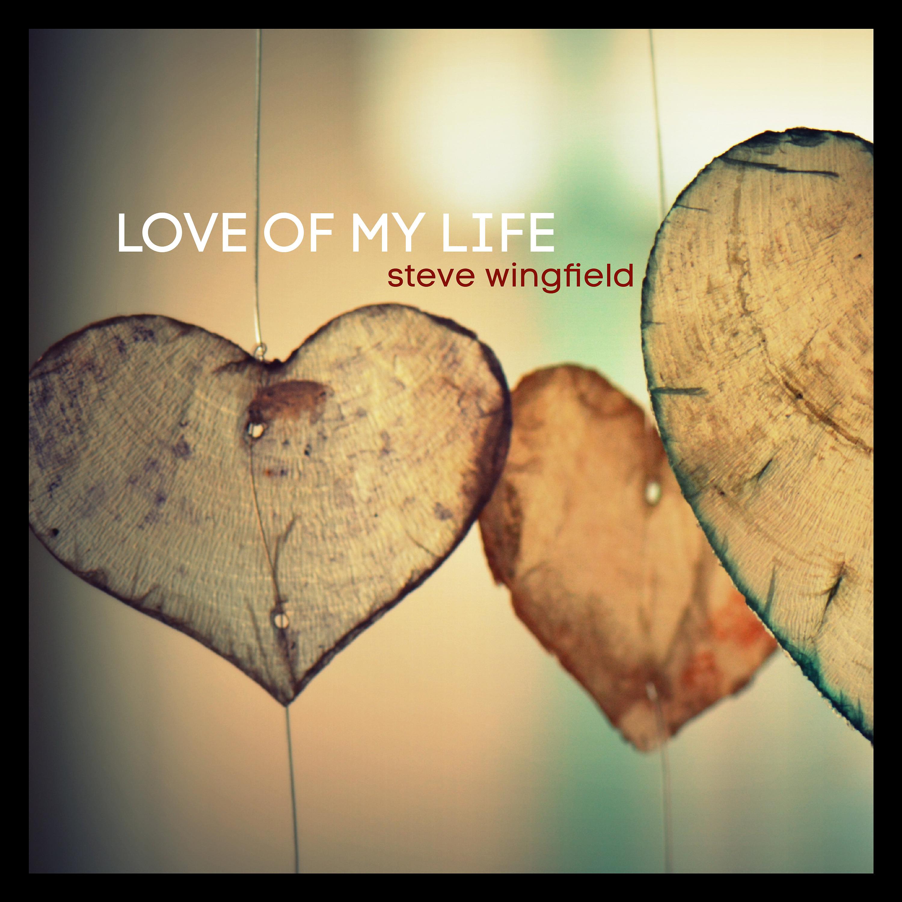 Постер альбома Love of My Life