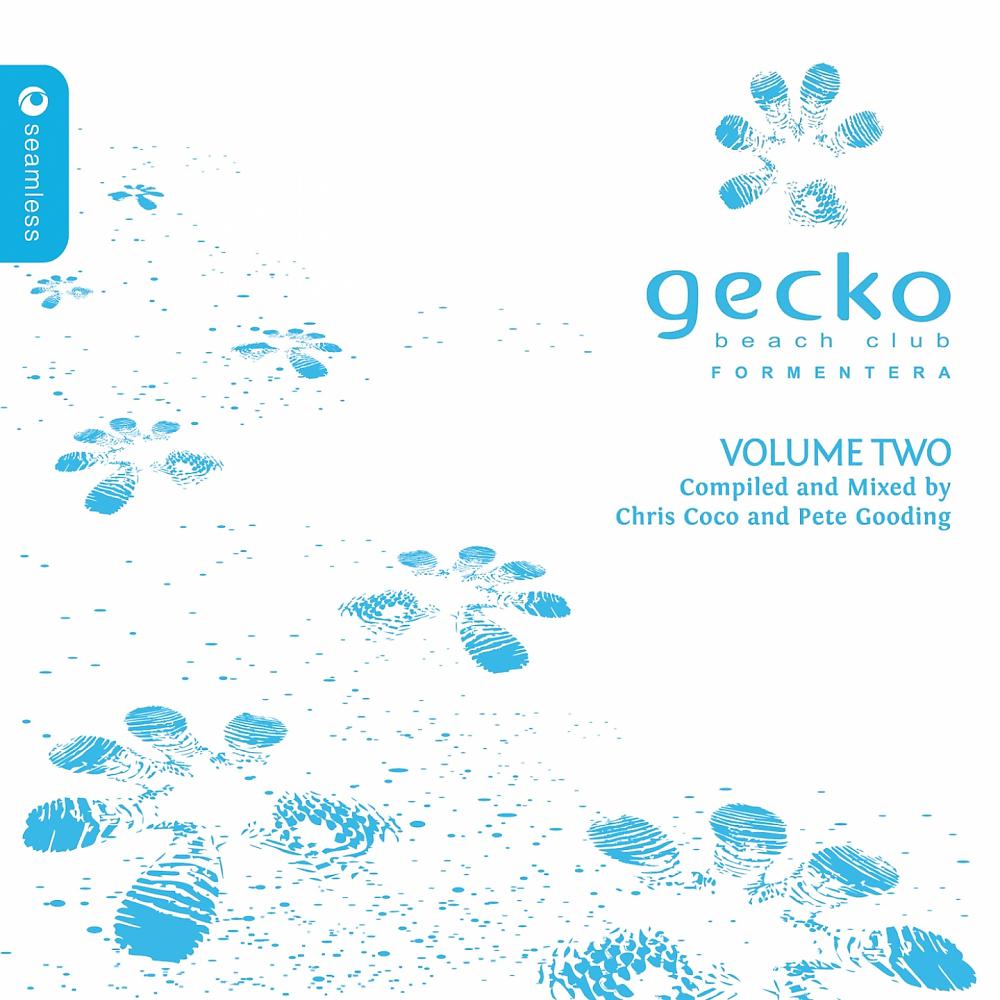 Постер альбома Gecko Beach Club Formentera, Vol. 2