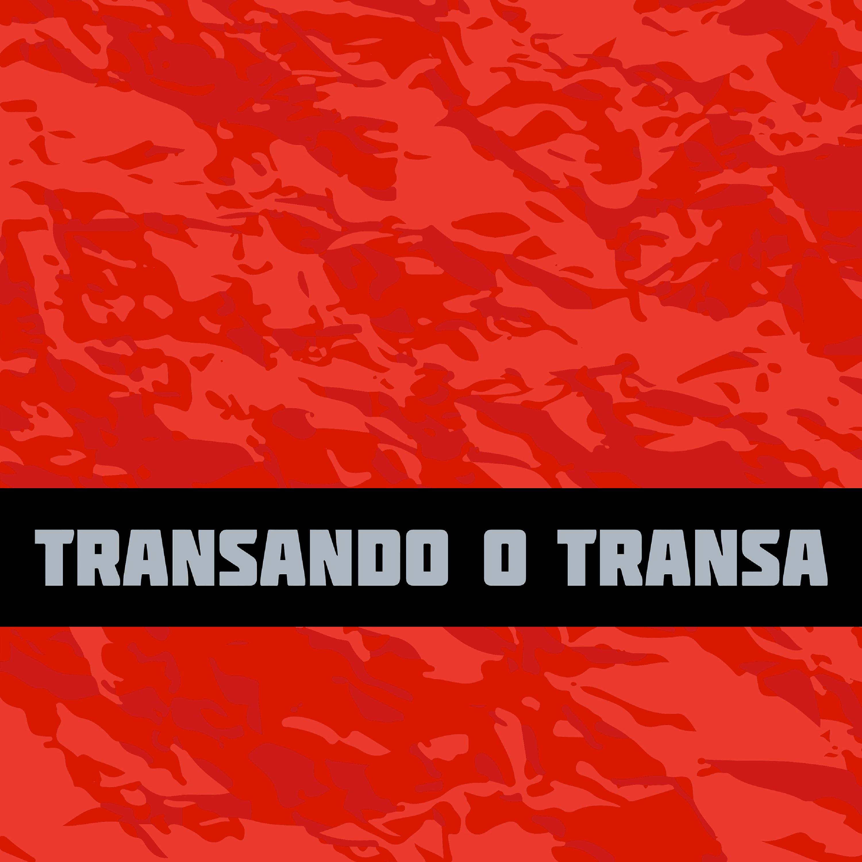 Постер альбома Transando o Transa