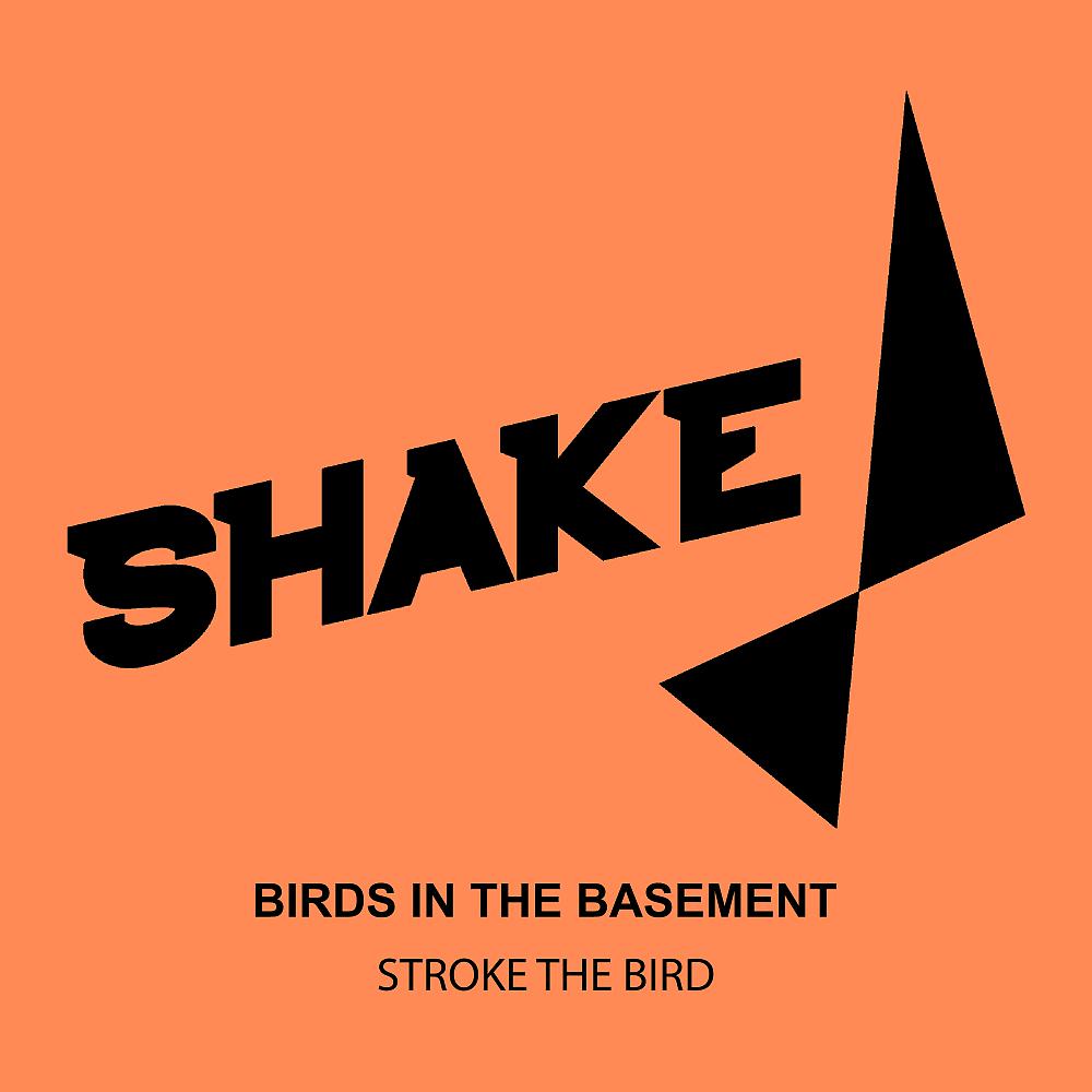 Постер альбома Stroke The Bird