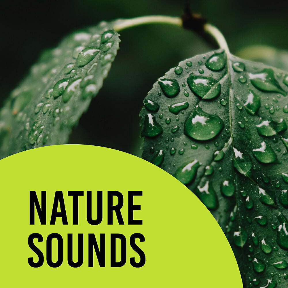 Sleep Sounds Of Nature - Nightstorm