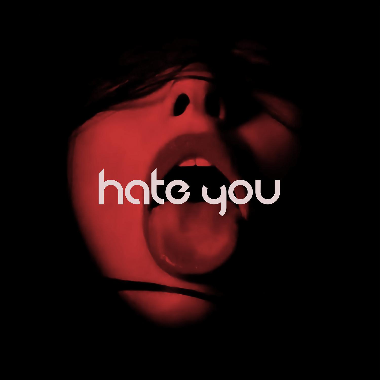 Постер альбома HATE YOU