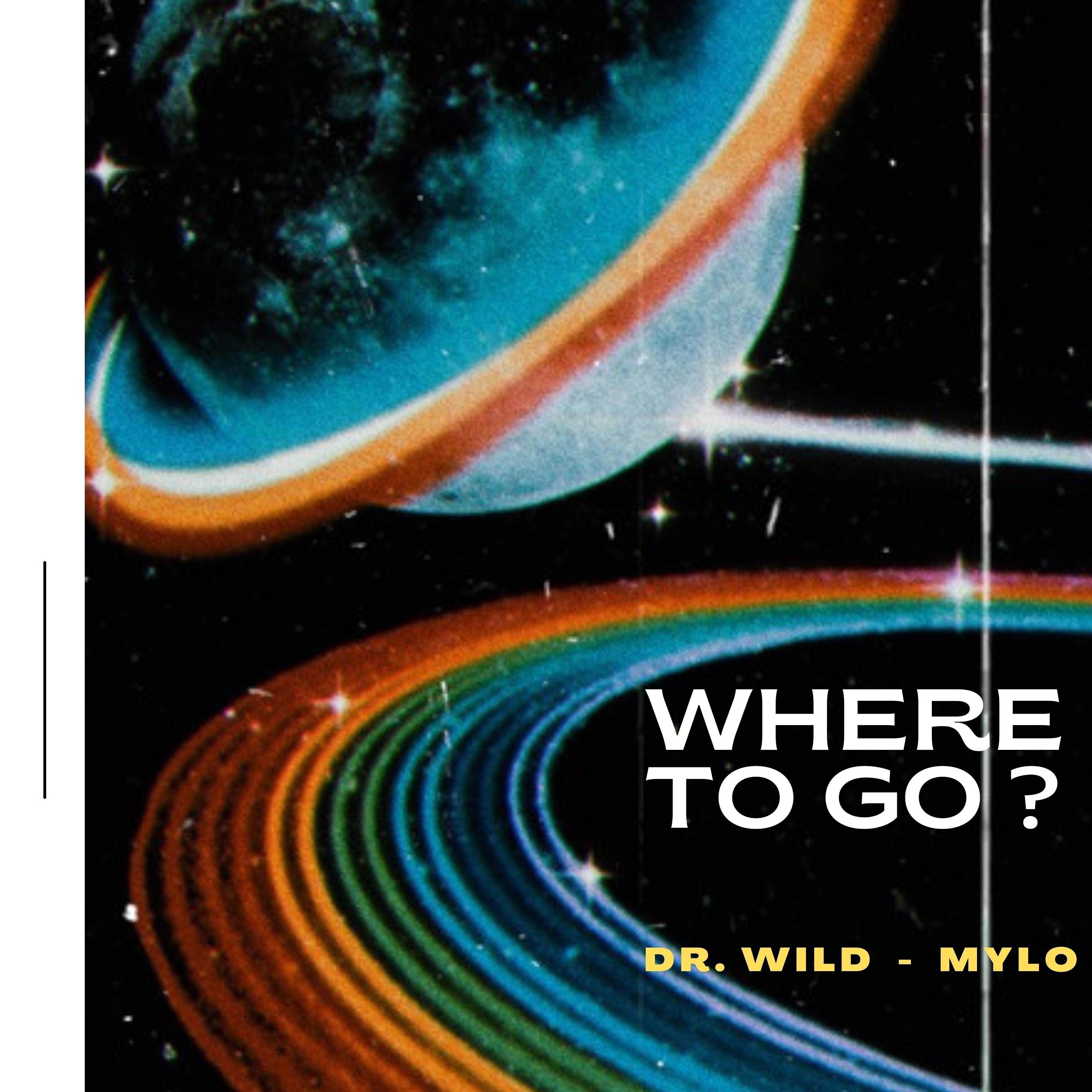 Постер альбома Where to go?