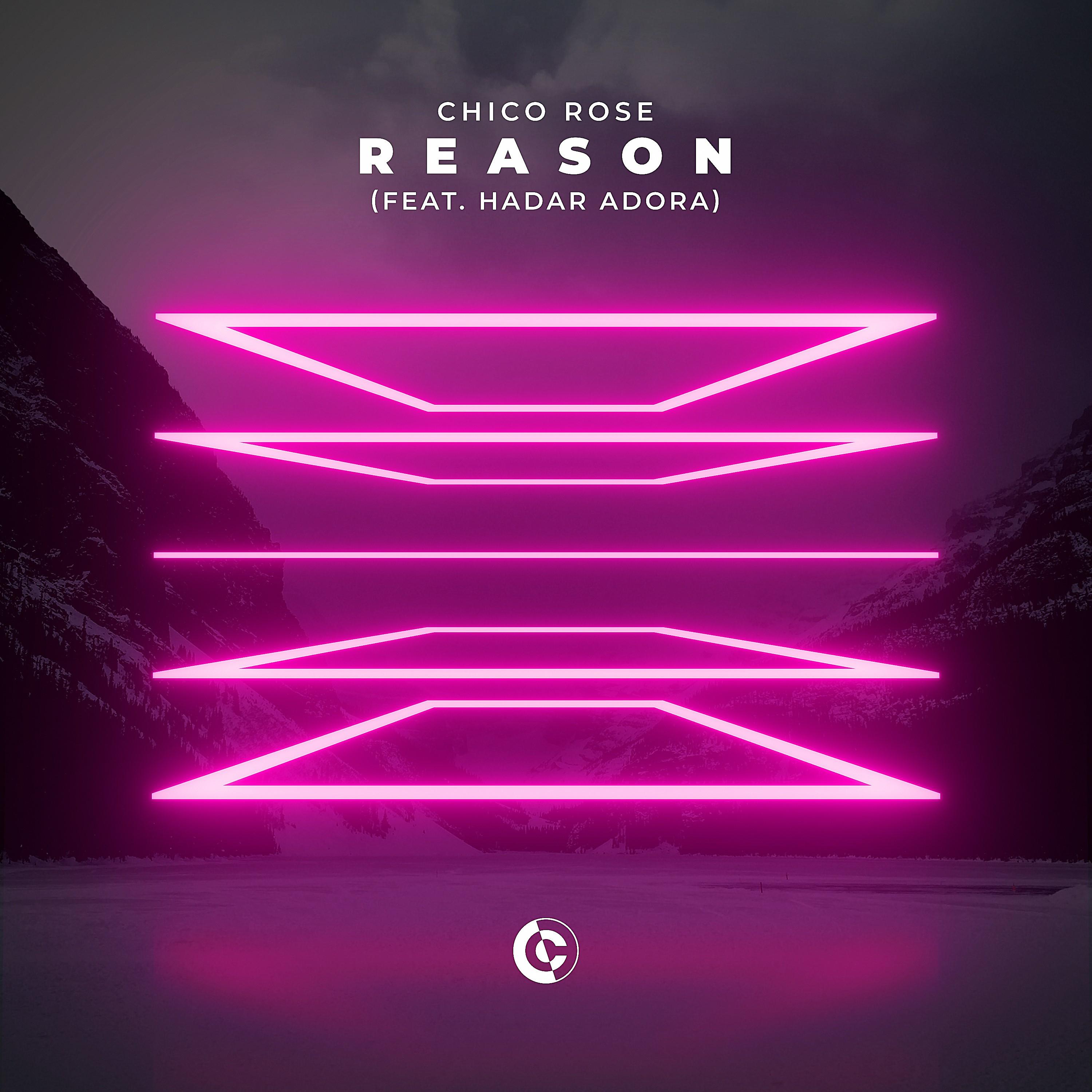 Постер альбома Reason (feat. Hadar Adora)