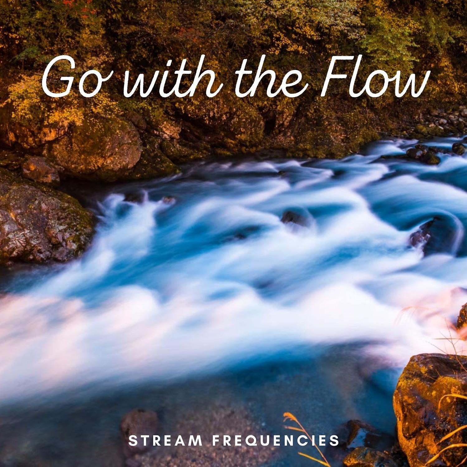 Постер альбома Stream Frequencies: Go with the Flow