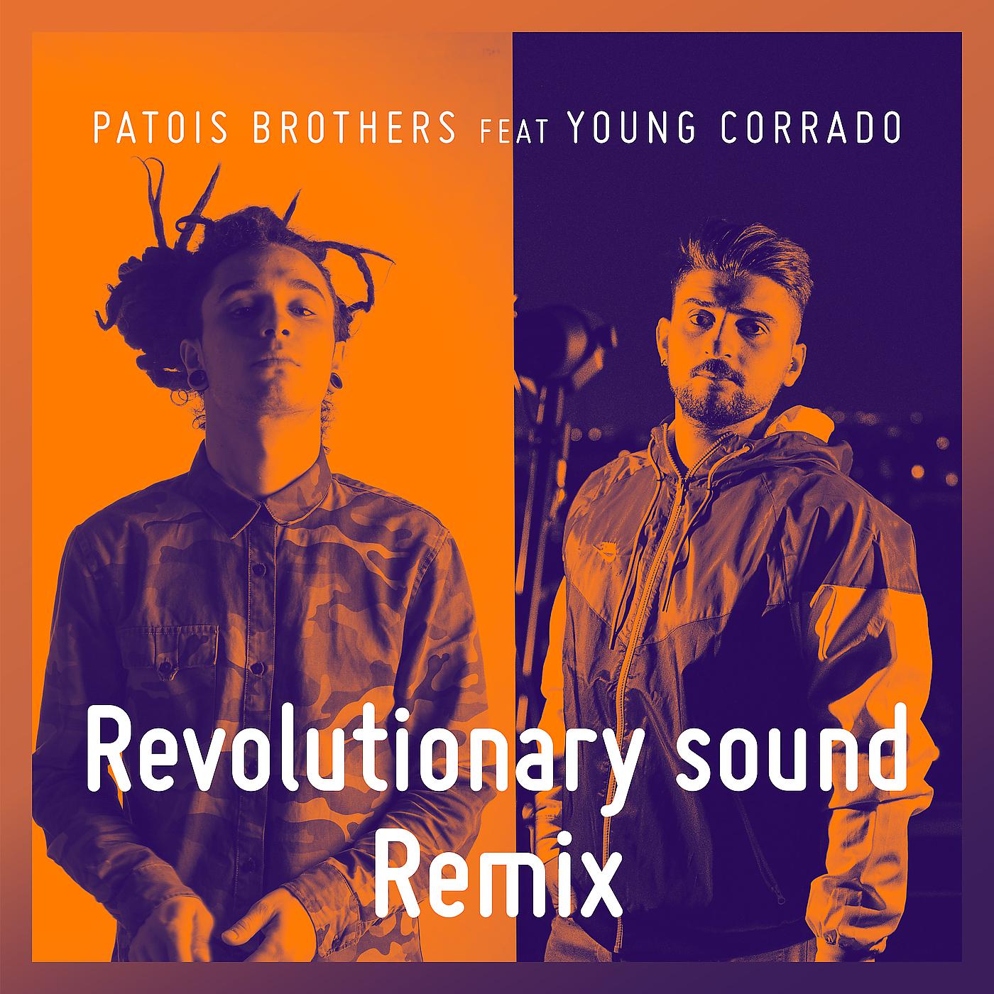 Постер альбома Revolutionary Sound (Remix)