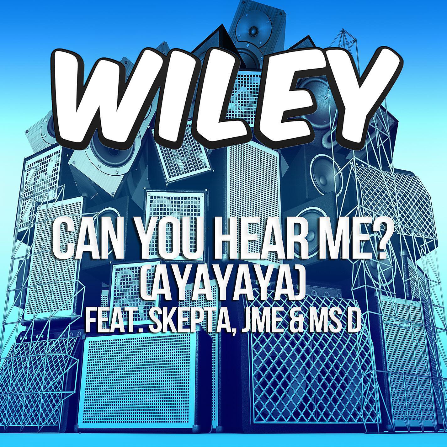 Wiley - Can You Hear Me? (ayayaya) [feat. Skepta, JME & Ms D] [Instrumental]