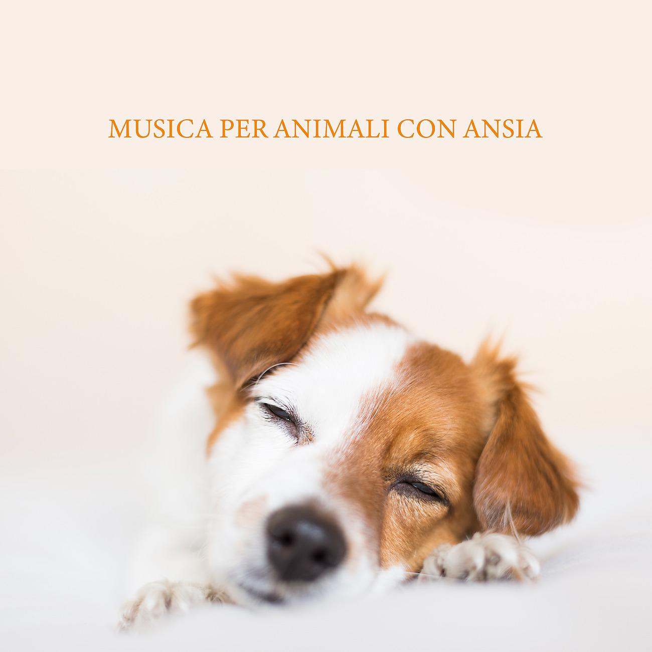 Постер альбома Musica per animali con ansia