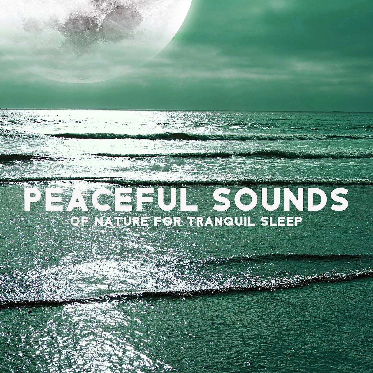 Постер альбома Peaceful Sounds of Nature for Tranquil Sleep