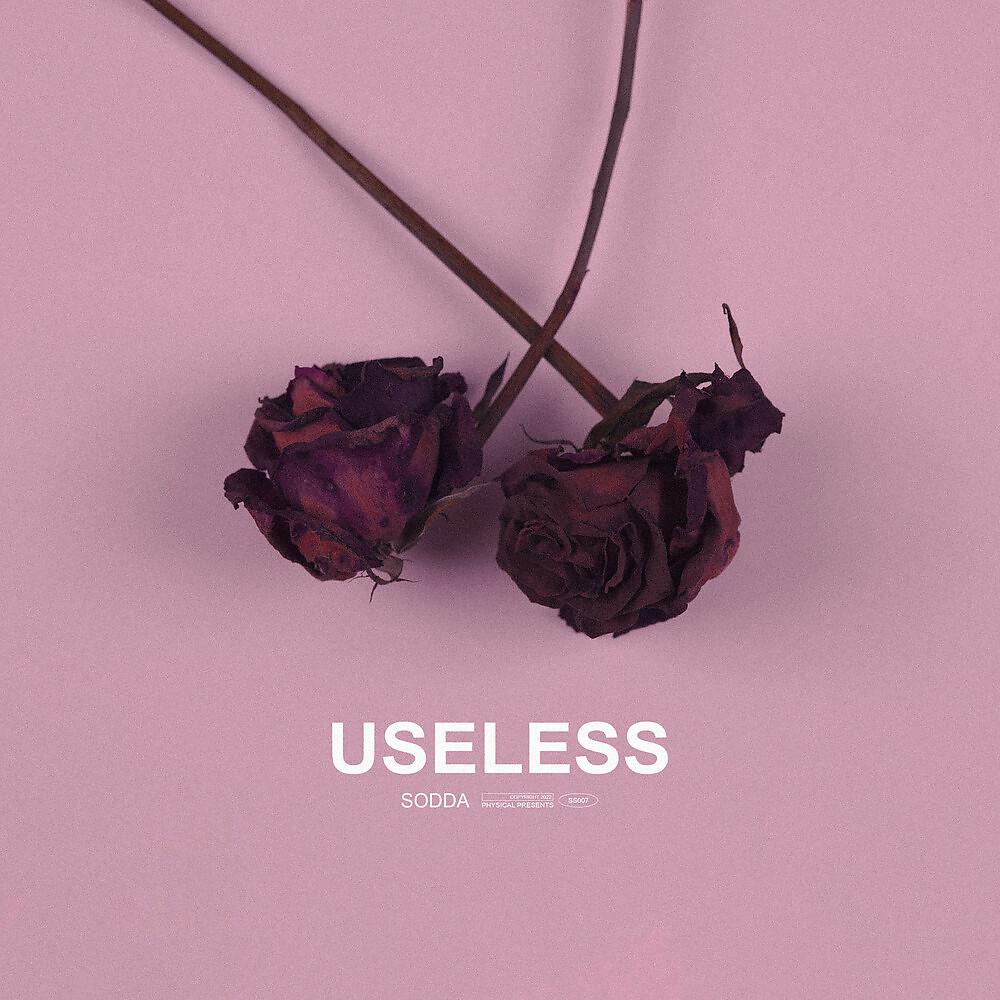 Постер альбома Useless