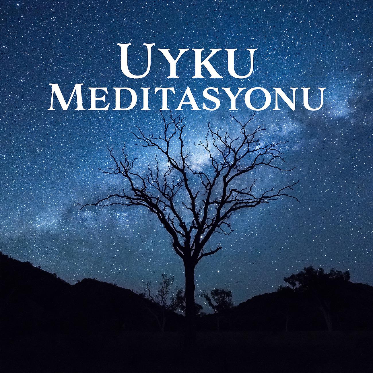 Постер альбома Uyku Meditasyonu