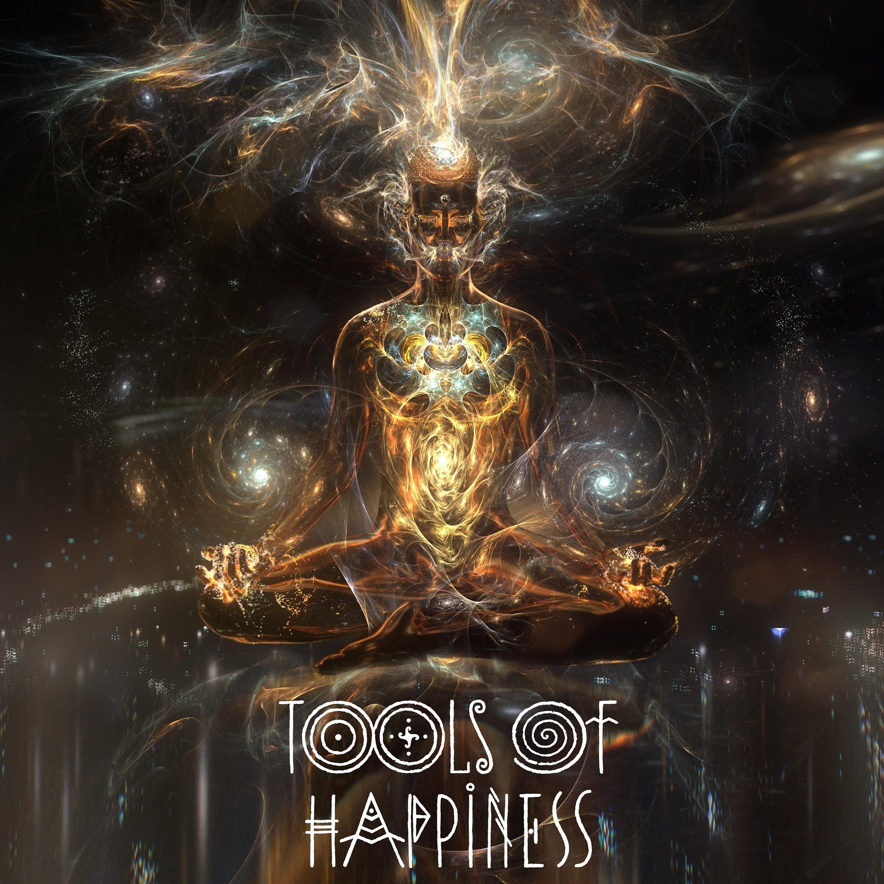 Постер альбома Tools of Happiness