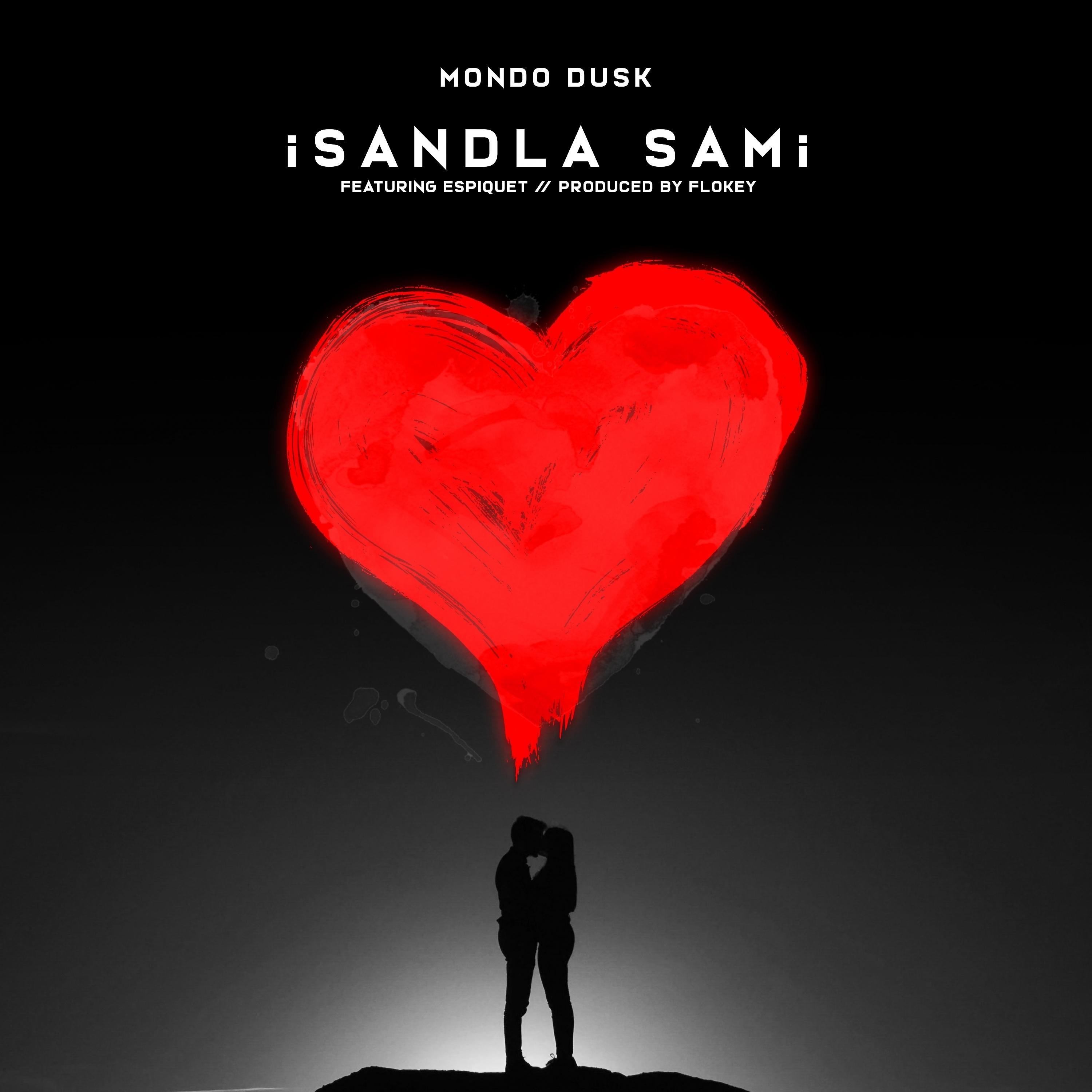 Постер альбома Isandla Sami