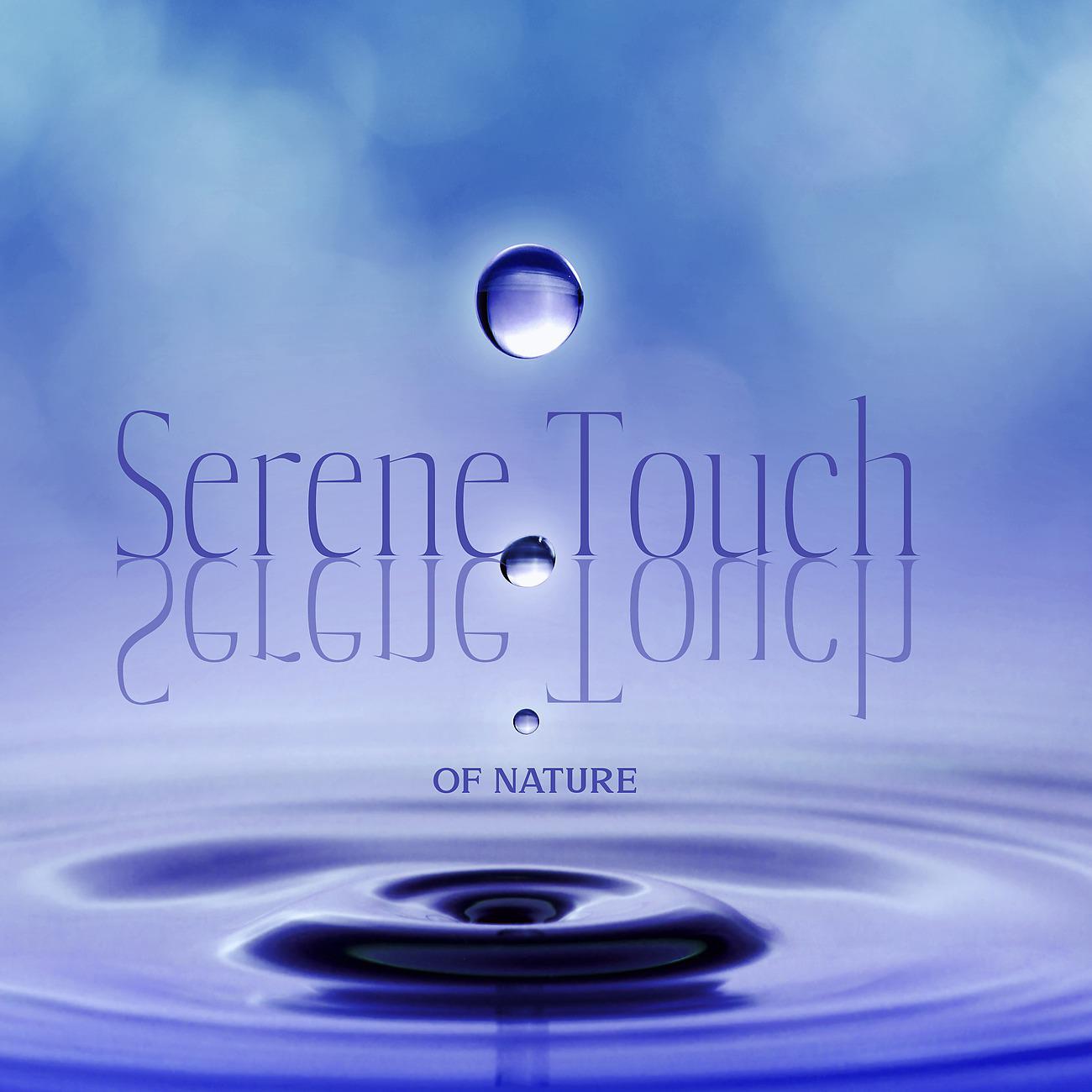 Постер альбома Serene Touch of Nature