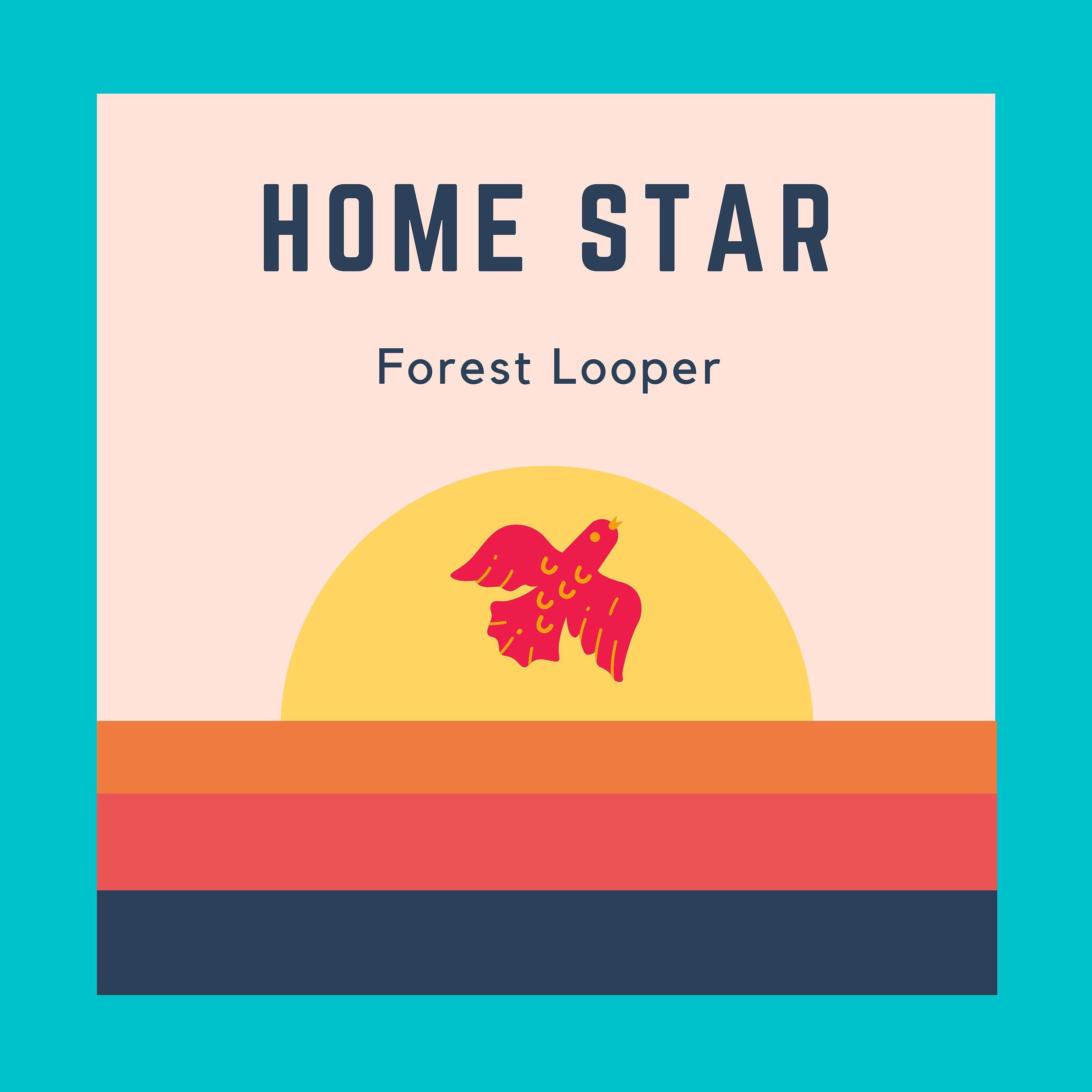 Постер альбома Home Star