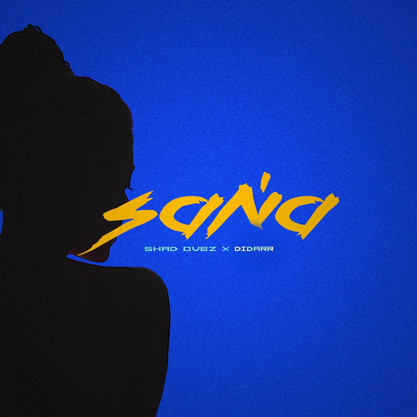 Постер альбома Saňa