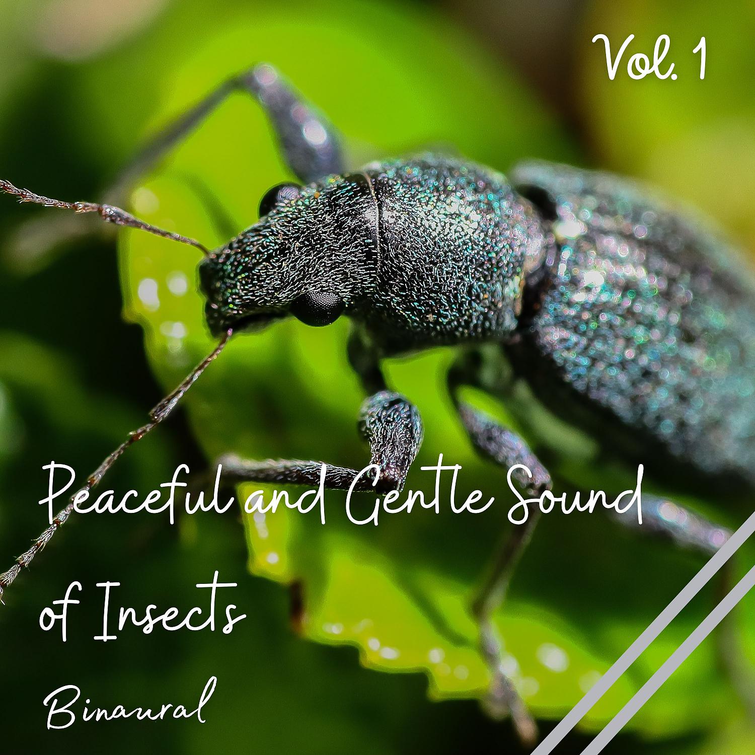 Постер альбома Binaural: Peaceful and Gentle Sound of Insects Vol. 1