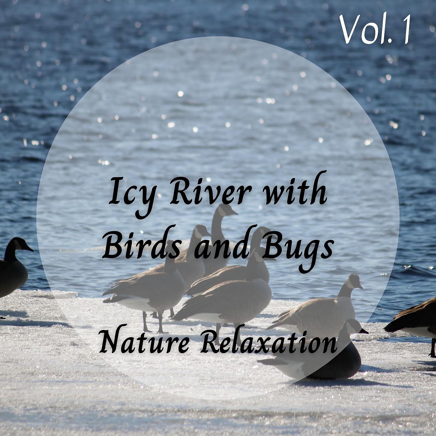 Постер альбома Nature Sound: Icy River with Birds and Bugs Vol. 1