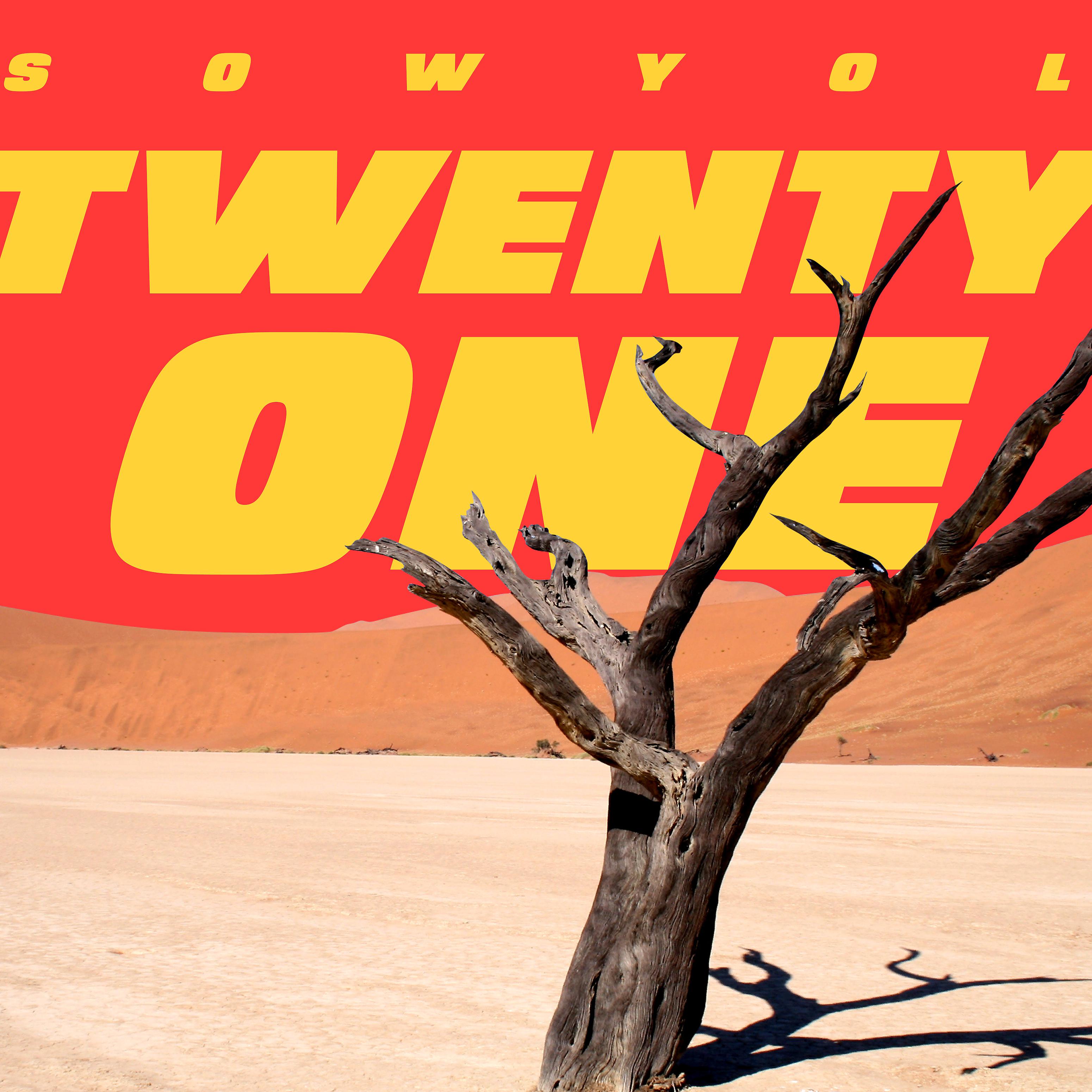 Постер альбома Twenty One