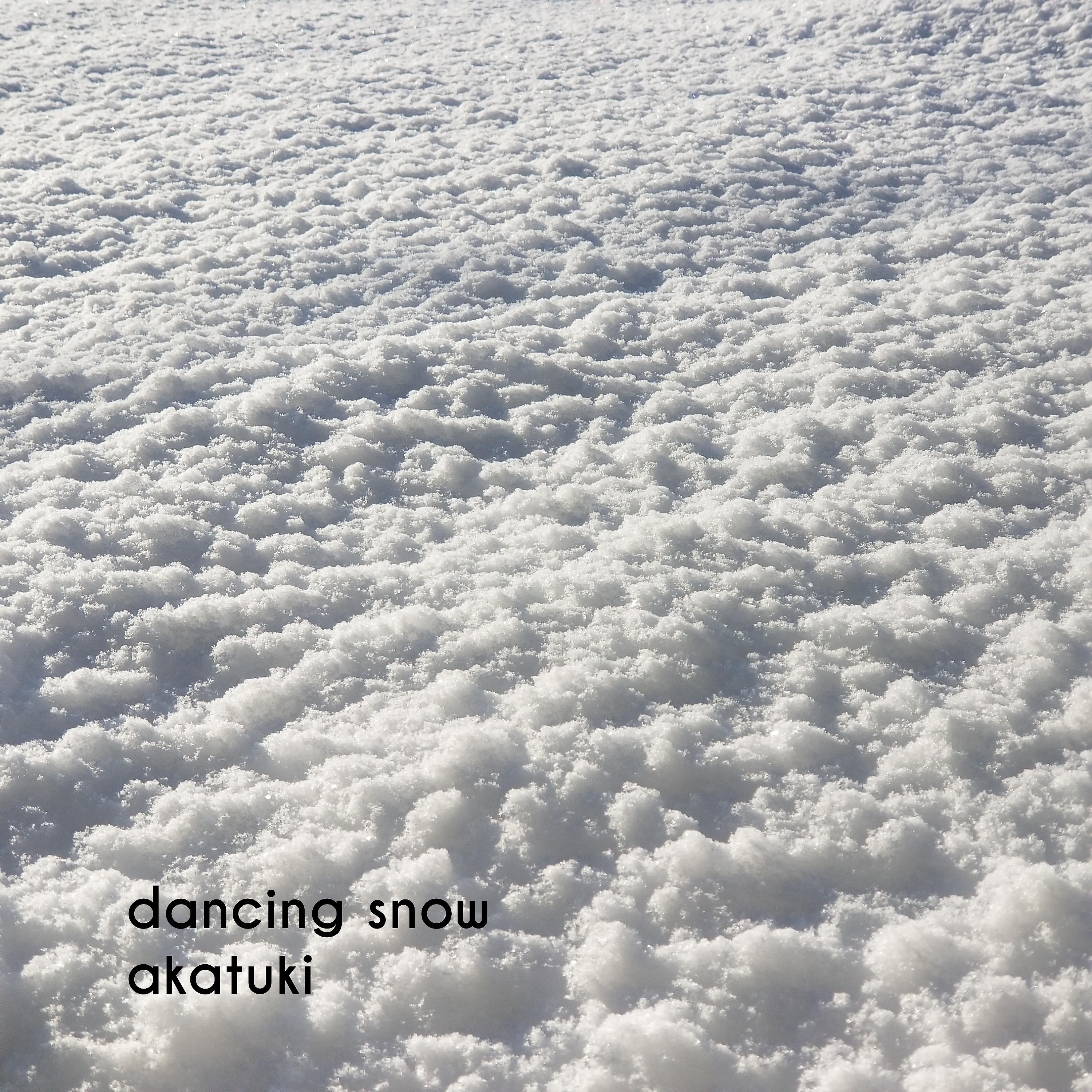 Постер альбома Dancing Snow