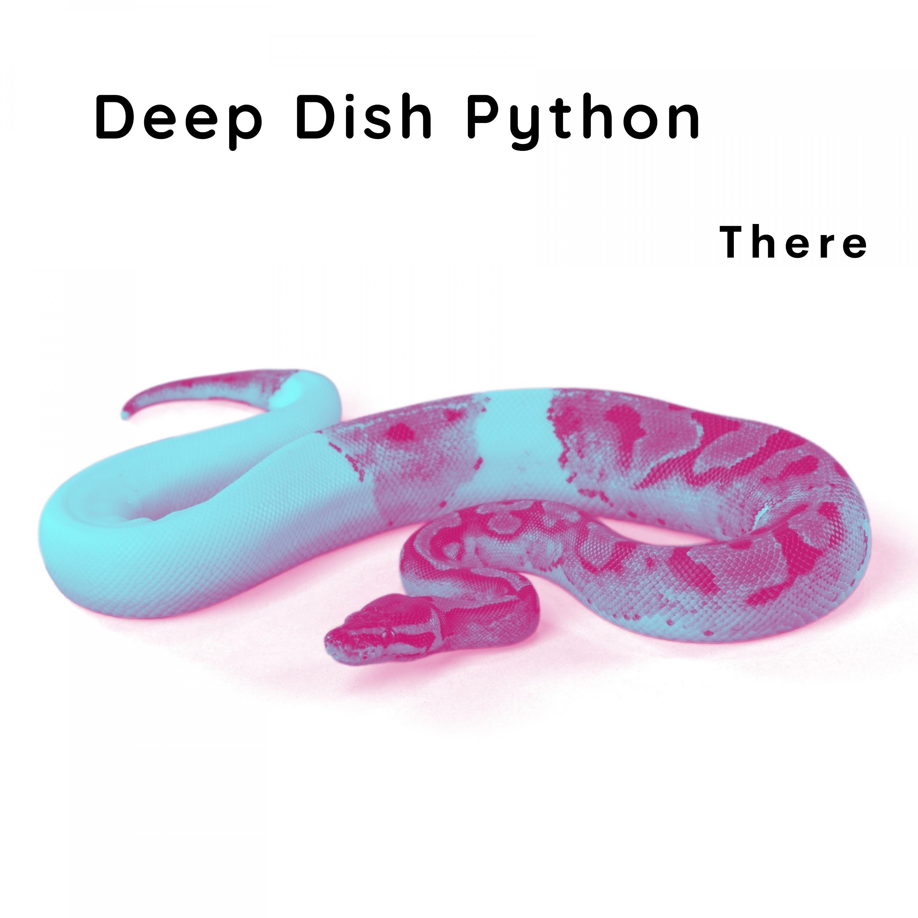 Постер альбома Deep Dish Python