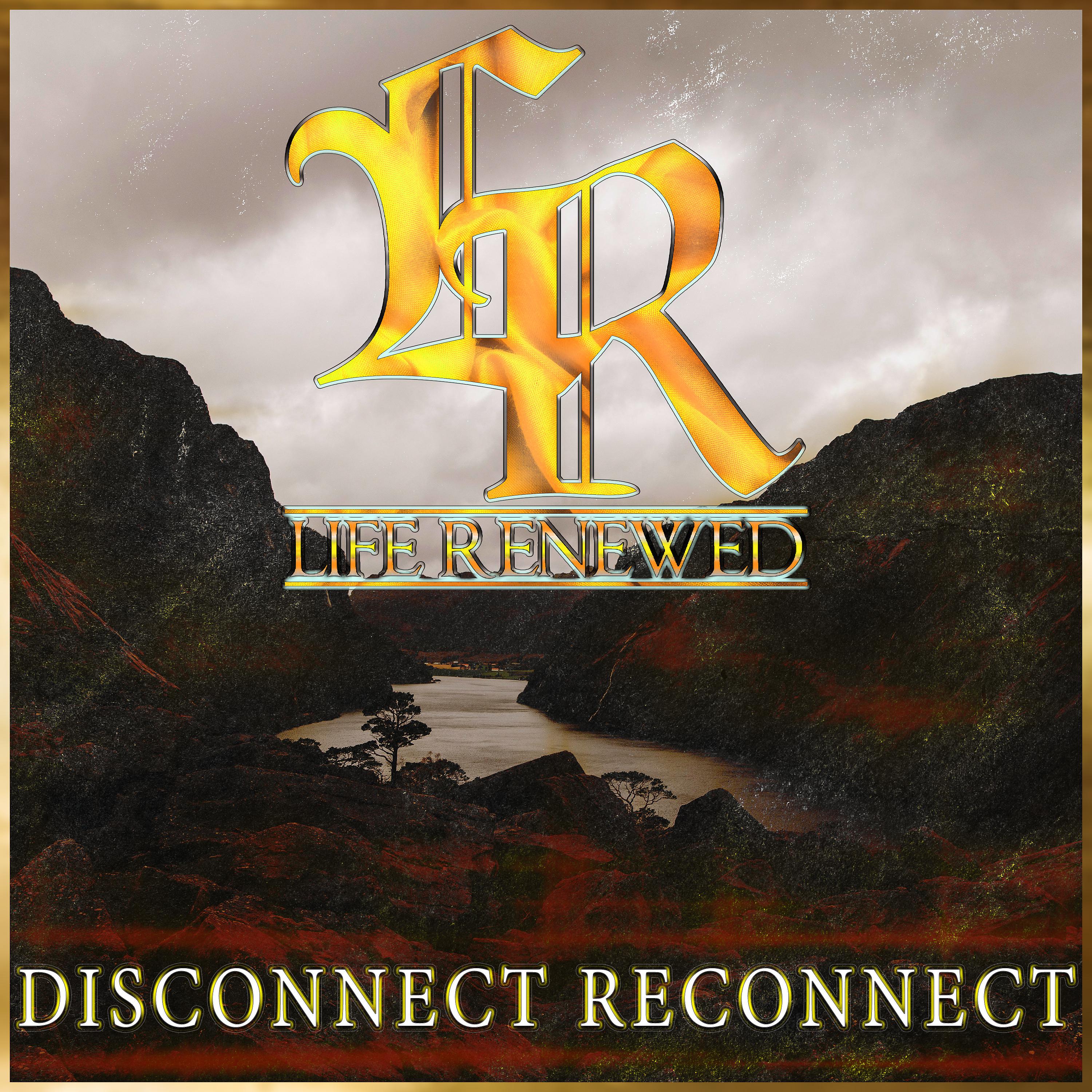 Постер альбома Disconnect Reconnect