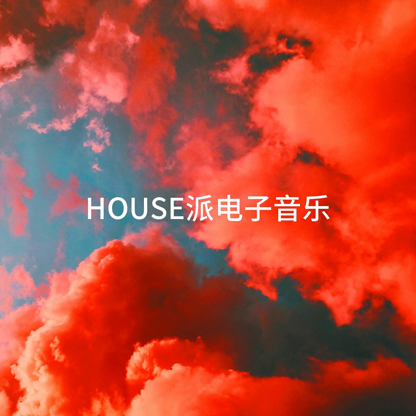 Постер альбома House派电子音乐