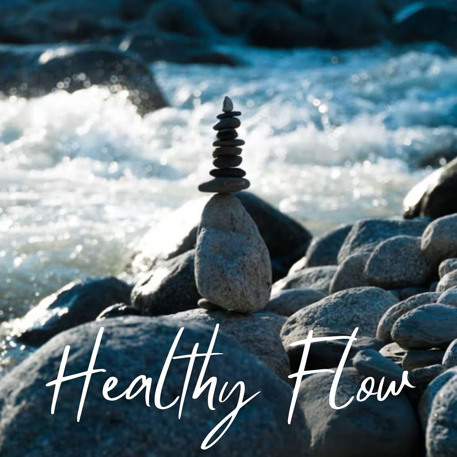 Постер альбома Healthy Flow