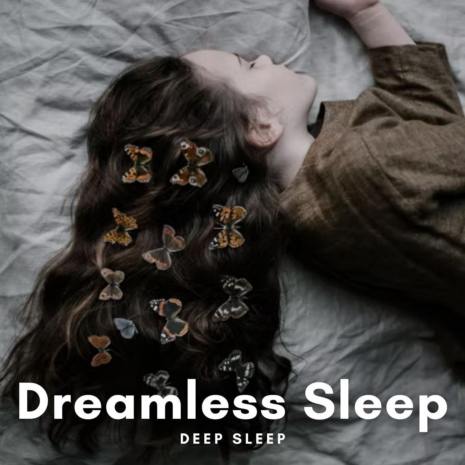 Постер альбома Deep Sleep: Dreamless Sleep