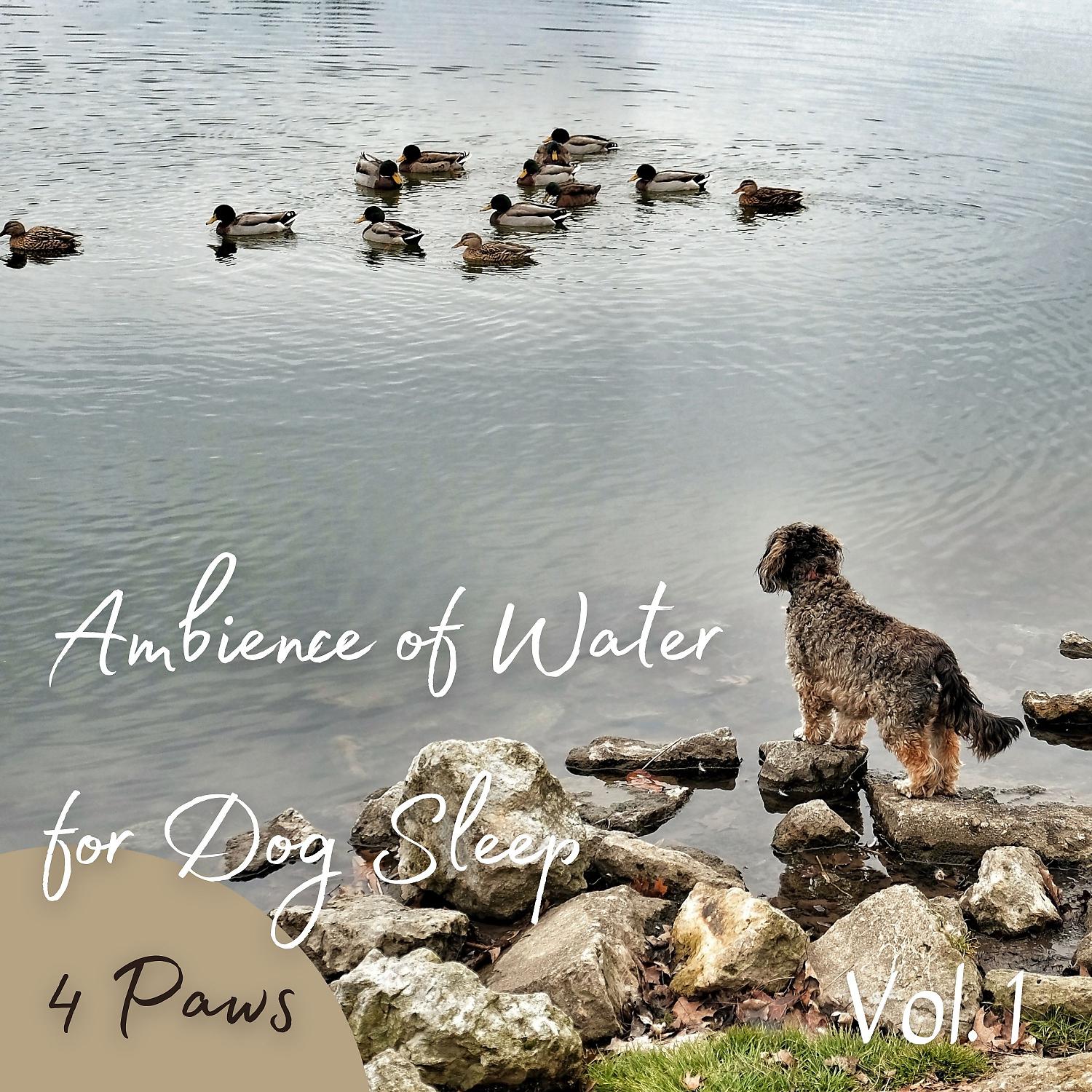 Постер альбома 4 Paws: Ambience of Water for Dog Sleep Vol. 1