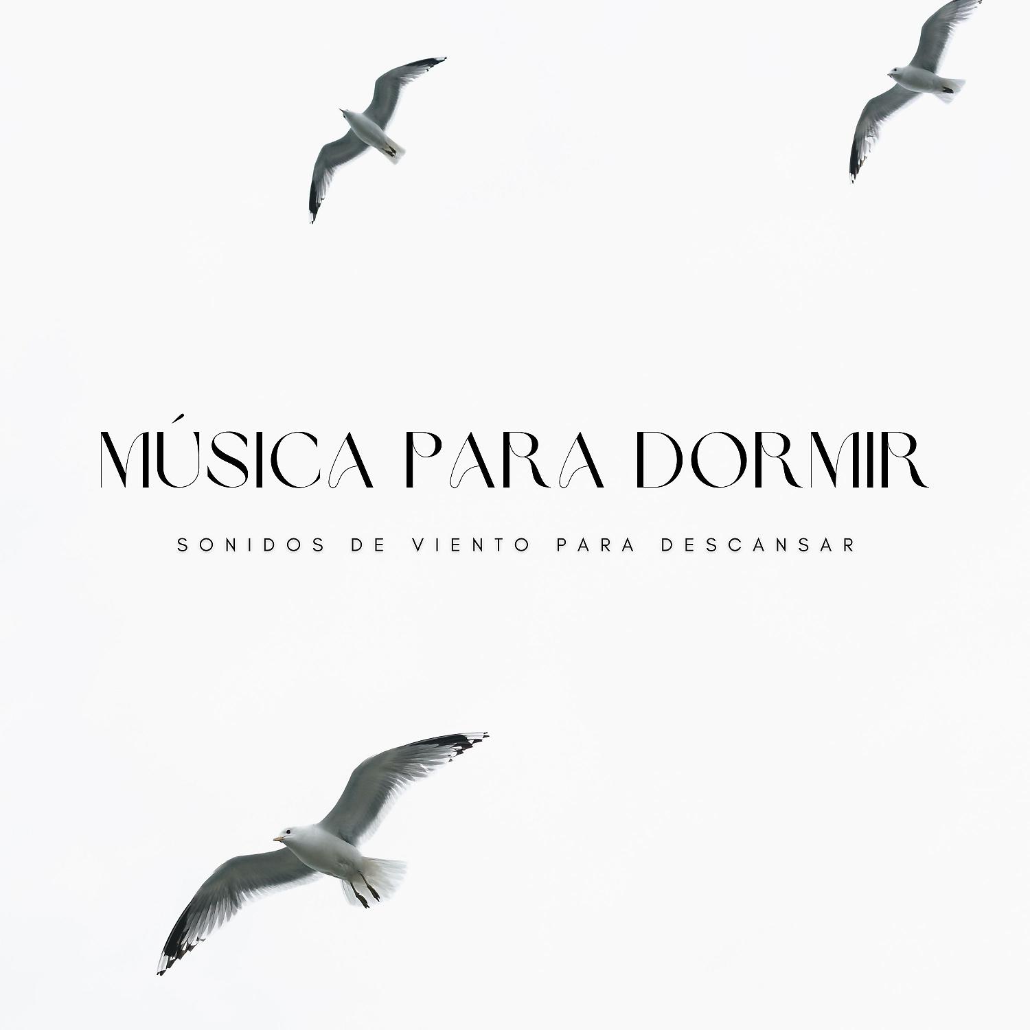 Постер альбома Música Para Dormir: Sonidos De Viento Para Descansar