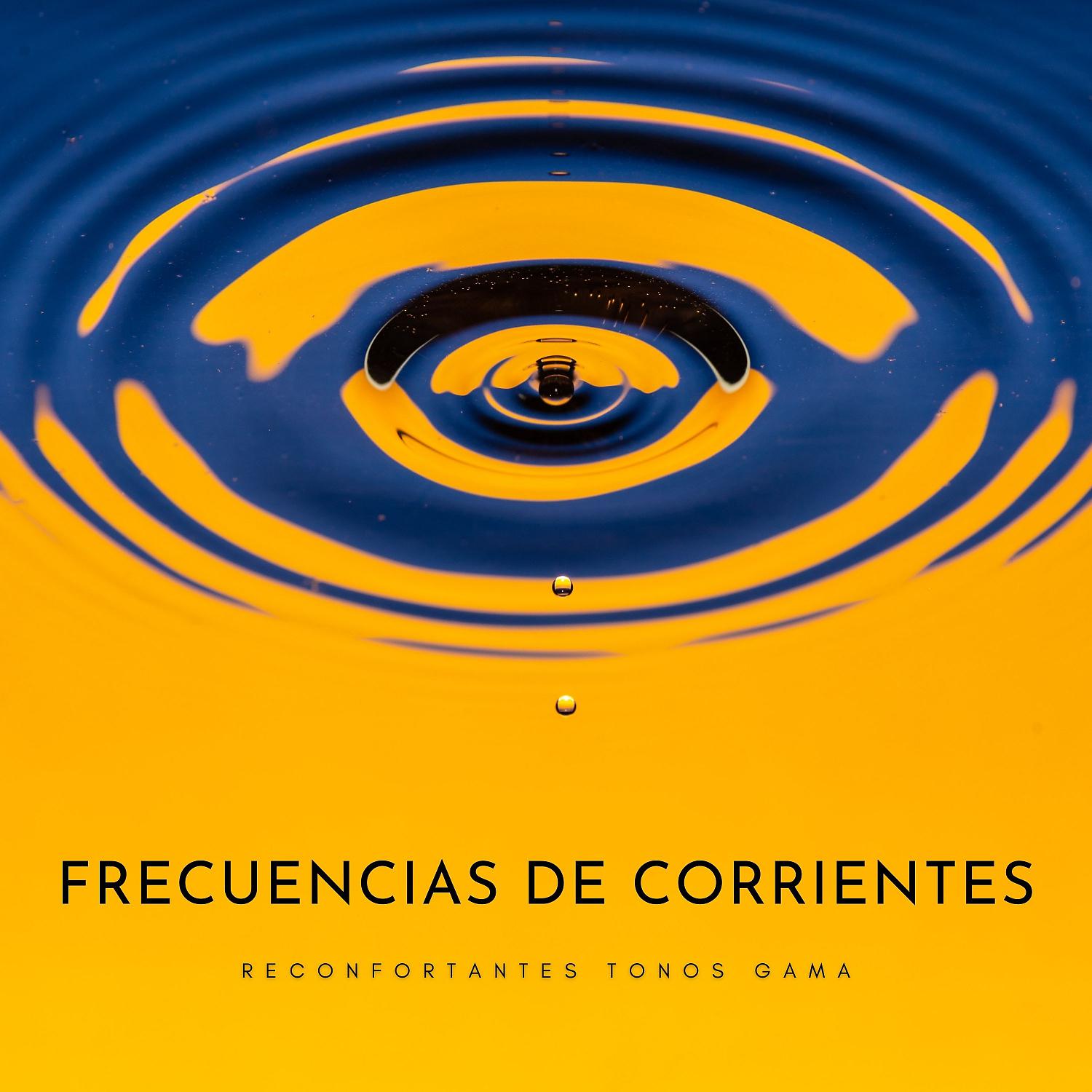 Постер альбома Frecuencias De Corrientes: Reconfortantes Tonos Gama
