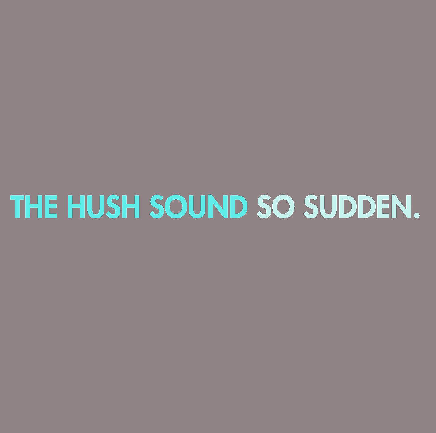 Альбом So Sudden исполнителя The Hush Sound