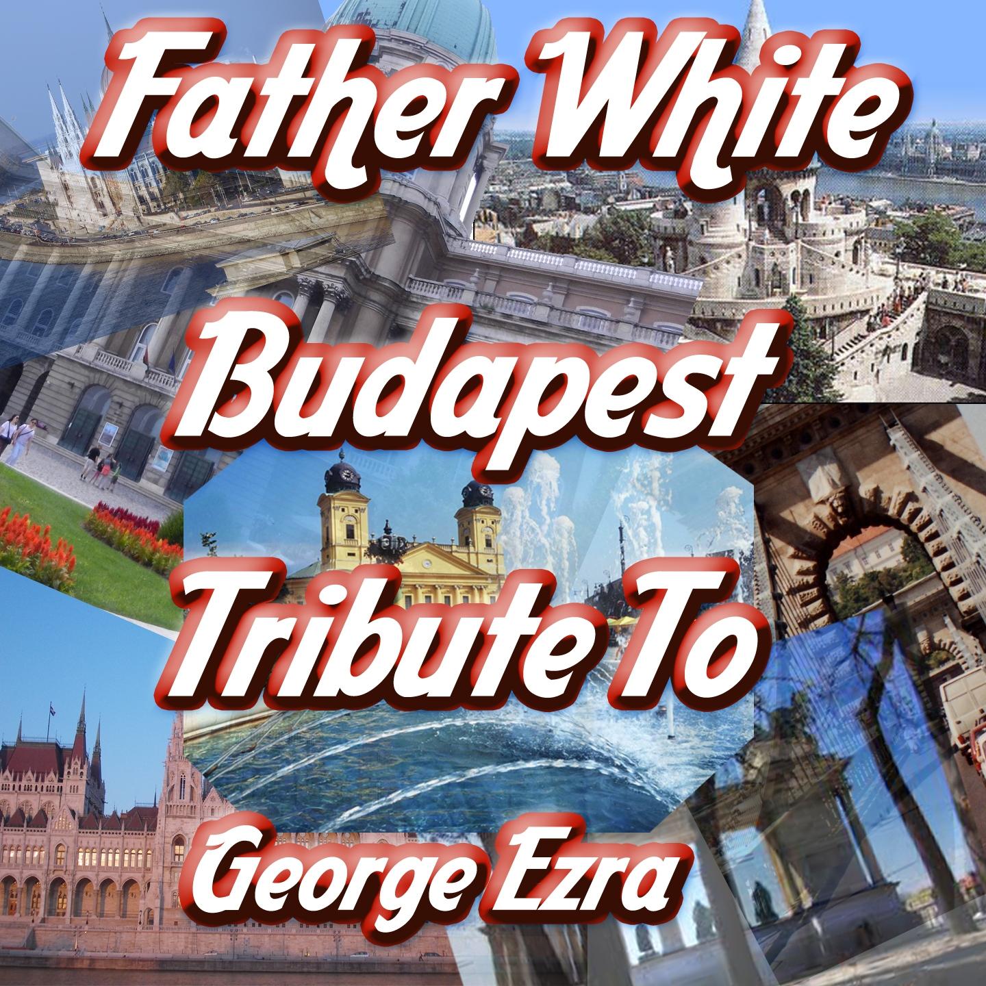Постер альбома Budapest: Tribute to George Ezra
