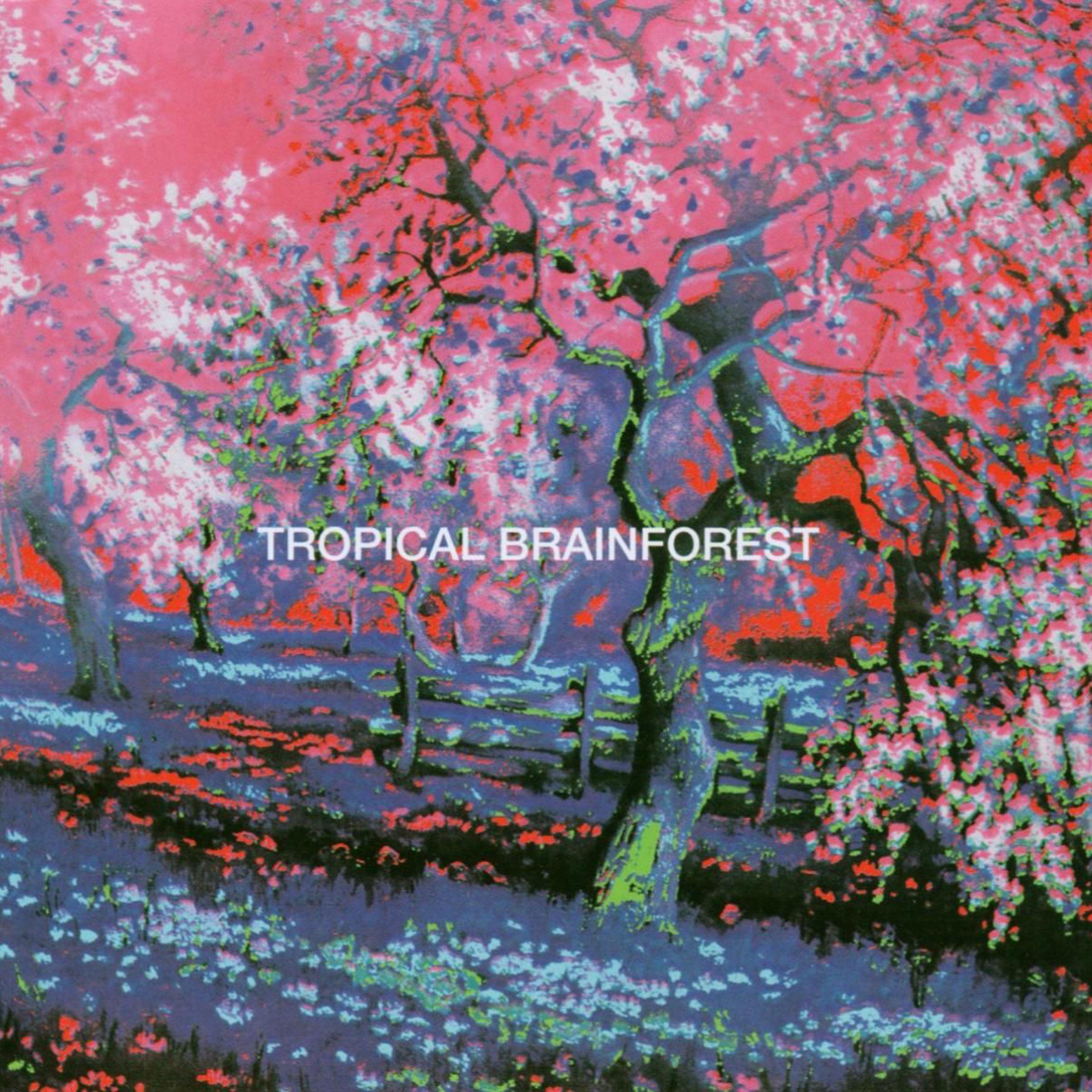 Постер альбома Tropical Brainforest (feat. Michels) (Remastered)